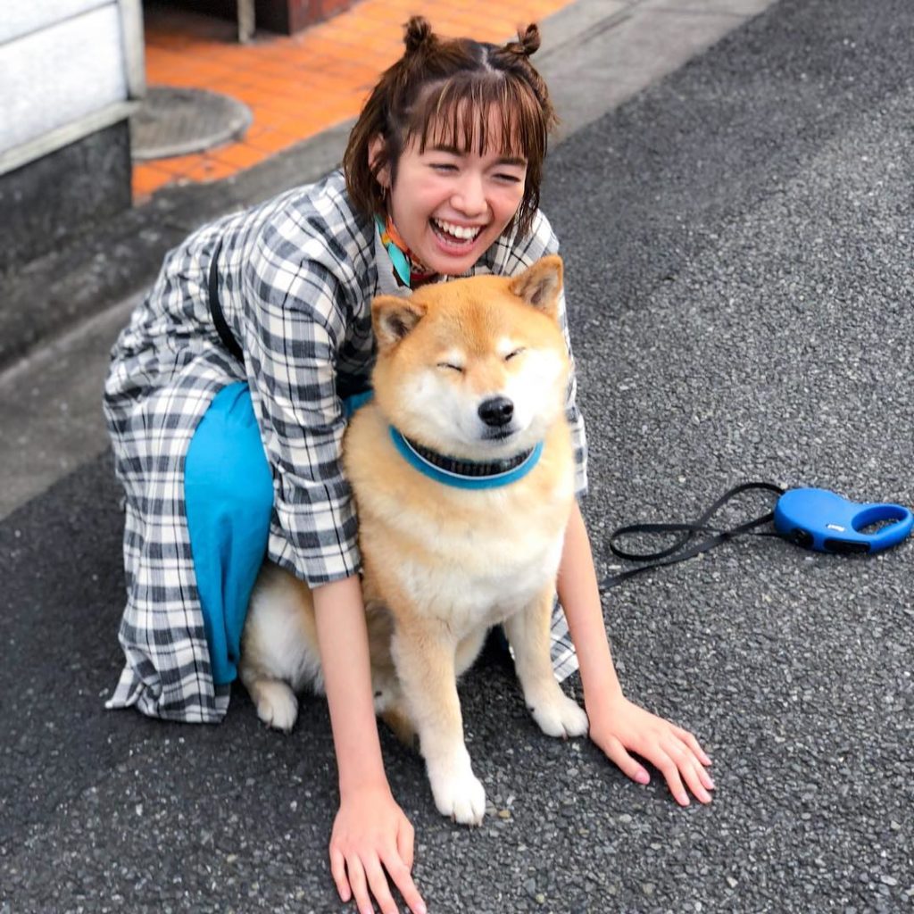 しおまる散歩 Moe Pets しおまる散歩 Moe Pets