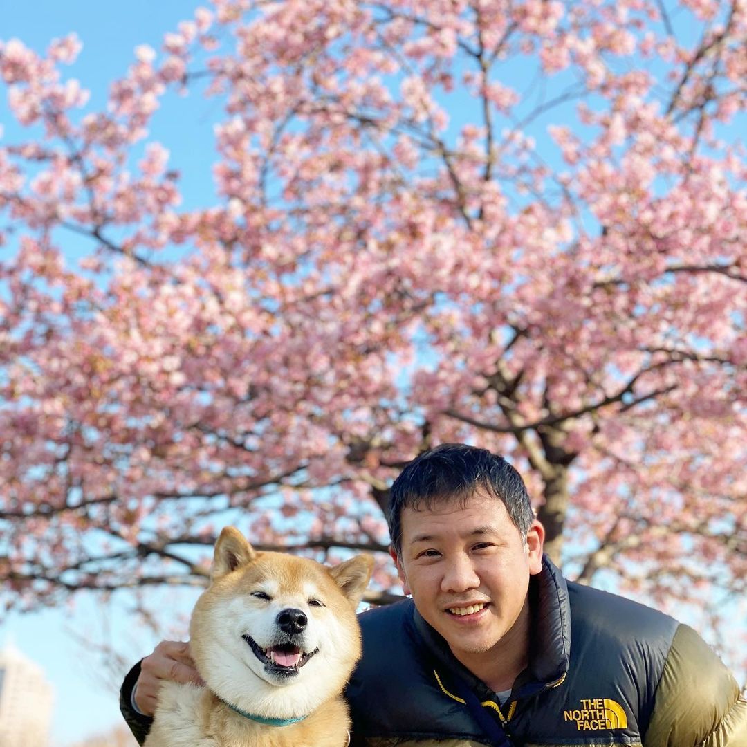 Marutaro Good Morning パパ 2ショットは1億ポイントだけどいいの すぐ使っちゃうからダメなんだよ ママみたいにコツコツ貯めないから アホやなー Moe Pets Marutaro Good Morning パパ 2ショットは1億ポイントだけどいいの すぐ使っちゃうからダメなんだよ ママみたいにコツコツ貯めないから アホやなー Moe Pets