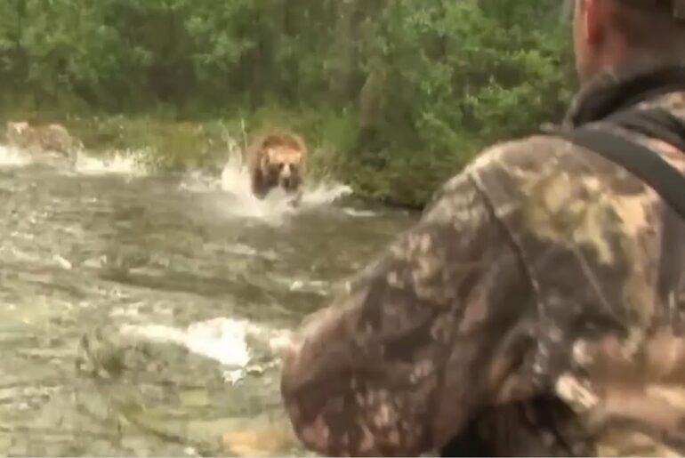 熊との遭遇詰め合わせセット　ヒグマ　危険映像　OSO18　бурый медведь　دب بنى　oso café