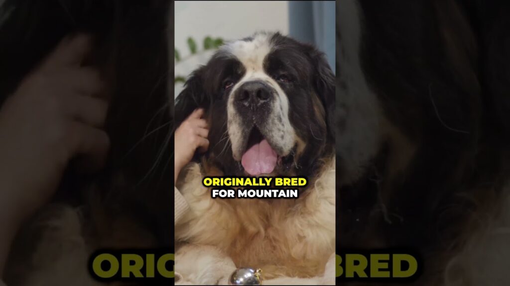 Top 5 Heroic Dog Breeds: Guardians of Courage!  #shorts