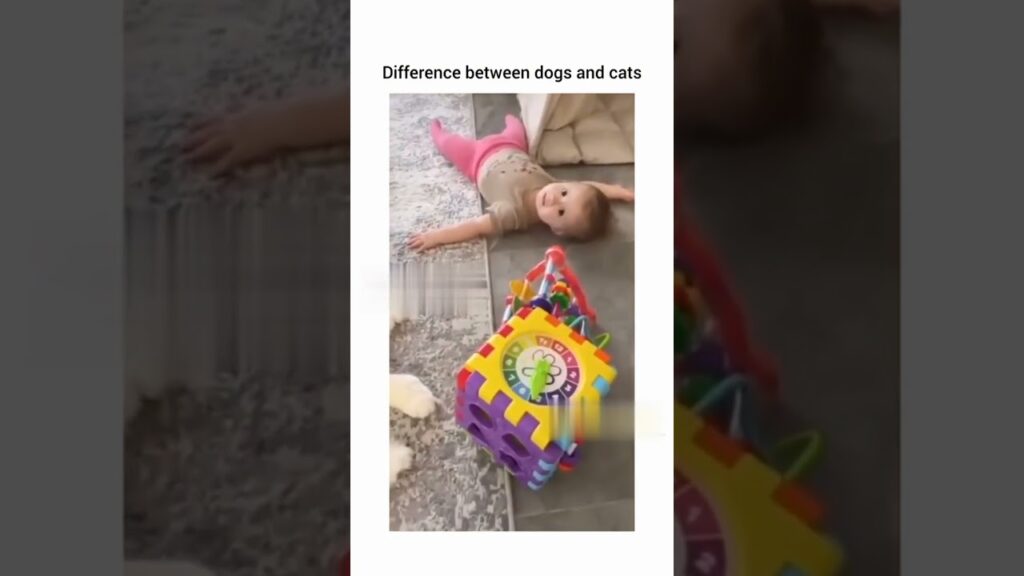 Shocking differences in how dogs and cats treat babies