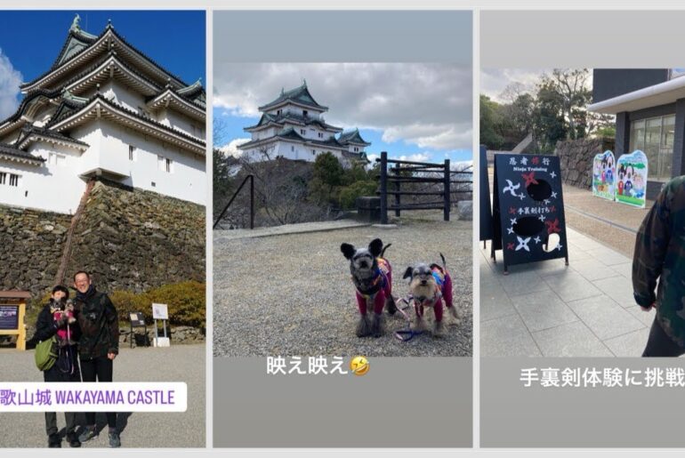 もんち、和歌山城で手裏剣体験する（Today's Instagram Stories 2024年1月8日）