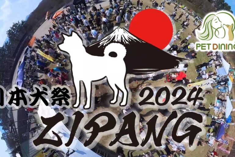 日本犬祭 ZIPANG2024　#ドッグイベント #日本犬