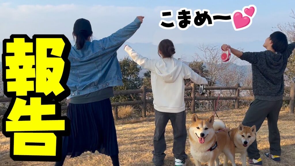 天国の柴犬こまめに嬉しい報告をして来ました 天国の柴犬こまめに嬉しい報告をして来ました