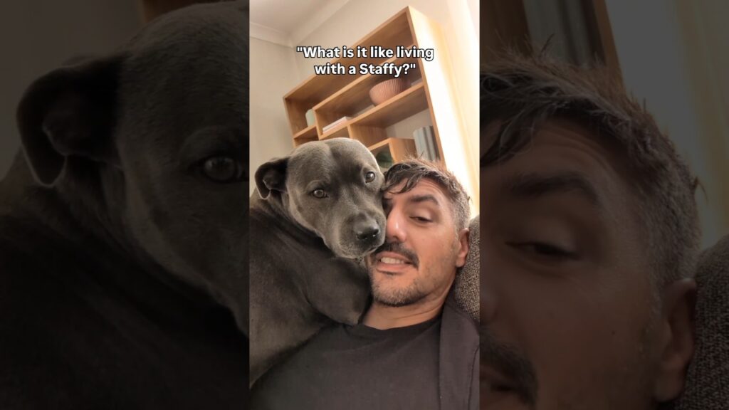 Personal Space? What’s That? 😂🥰 Personal Space? What's That? 😂🥰