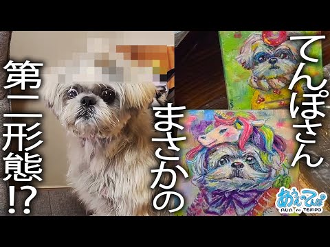 【晩酌&原画描き】シーズーてんぽまさかの第二形態!?【金曜20時定時ライブ】2025.09/26 【晩酌&原画描き】シーズーてんぽまさかの第二形態!?【金曜20時定時ライブ】2025.09/26
