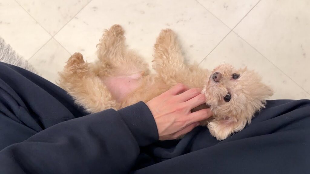 ふたり揃って消化不良になりました ふたり揃って消化不良になりました