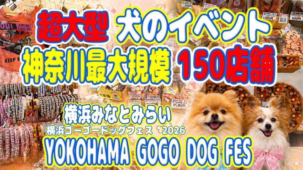 【犬イベント】【緊急レポ‼️】本日開催!横浜臨港パークに約150のお店が集結‼️神奈川No.1イベントを最速でご紹介🐶 【犬イベント】【緊急レポ‼️】本日開催!横浜臨港パークに約150のお店が集結‼️神奈川No.1イベントを最速でご紹介🐶