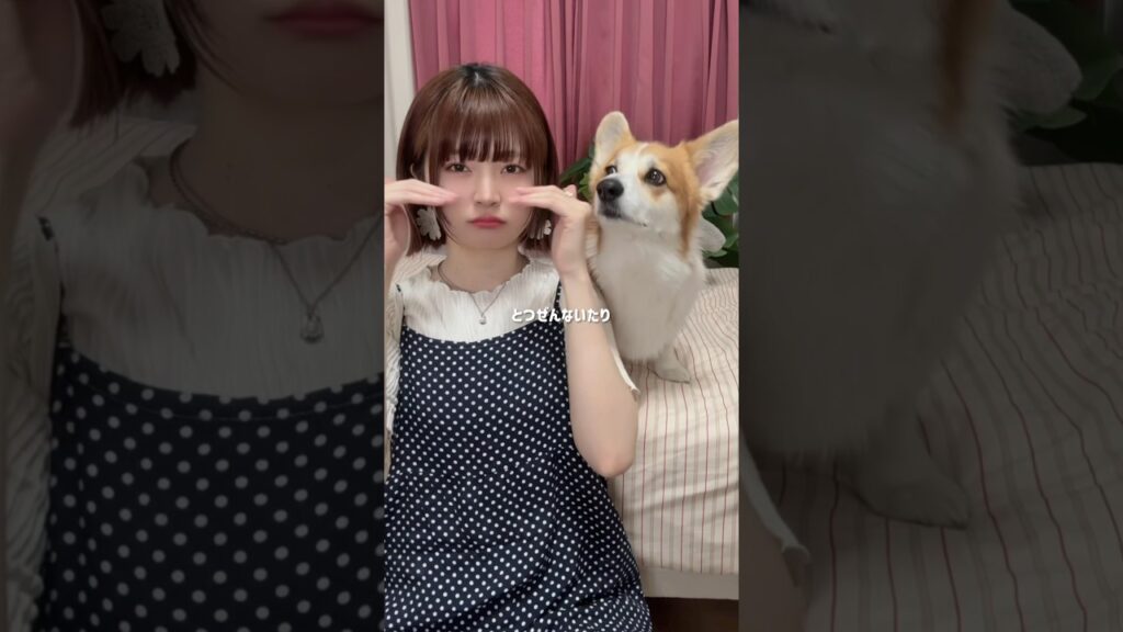 女の子って突然泣いたり難しいから🎀 #コーギーのいる暮らし #tiktoktrend #振り付け