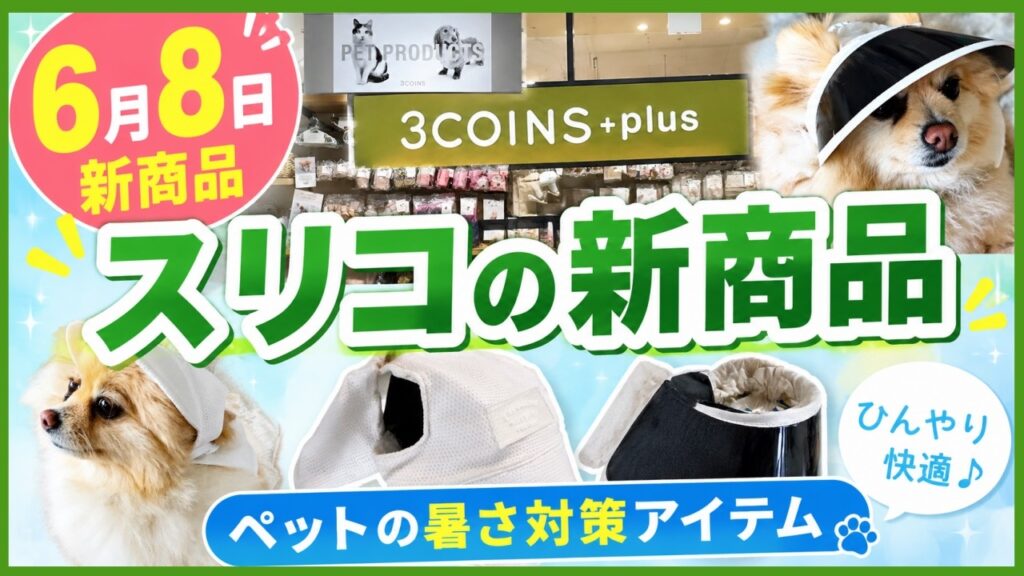 【3コインズ】速報‼️6/8発売のスリコペット夏用グッズが神すぎる!猛暑を乗り切る愛犬の暑さ対策アイテム購入品レビュー🐾 【3コインズ】速報‼️6/8発売のスリコペット夏用グッズが神すぎる!猛暑を乗り切る愛犬の暑さ対策アイテム購入品レビュー🐾