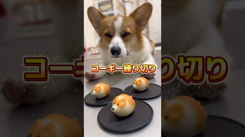 コーギー練り切り　#コーギー  #corgi #和菓子 #栃木