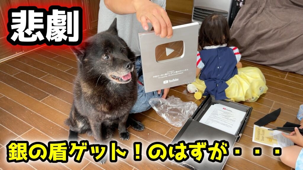 【衝撃】愛犬と銀の盾を開封したら、えらいことになりました 【衝撃】愛犬と銀の盾を開封したら、えらいことになりました
