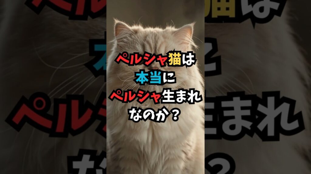 ペルシャ猫😽は本当にペルシャ生まれなの?名前に隠された意外な歴史 #shorts #猫のいる暮らし #猫雑学 #猫好きさんと繋がりたい #子ネコ #猫のいる生活 ペルシャ猫😽は本当にペルシャ生まれなの?名前に隠された意外な歴史 #shorts #猫のいる暮らし #猫雑学 #猫好きさんと繋がりたい #子ネコ #猫のいる生活