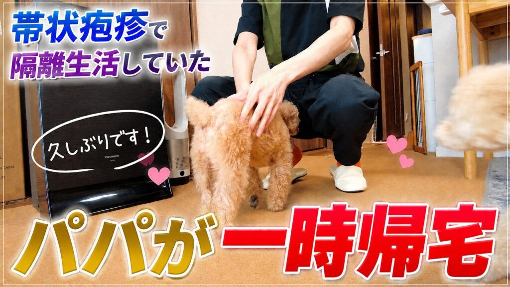 帯状疱疹で隔離中のパパが一時帰宅…久しぶりに会った愛犬たちの反応は? 帯状疱疹で隔離中のパパが一時帰宅…久しぶりに会った愛犬たちの反応は?