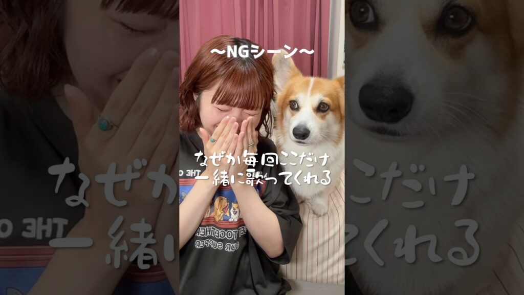 NGシーン大豊作🌾元気で何より #コーギーのいる暮らし #歌ってみた #tiktoktrend