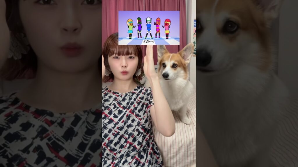 ワントゥスリフォ マダムラディッシュ🏋🏻‍♀️ #エアロピクルス #コーギーのいる暮らし #tiktoktrend