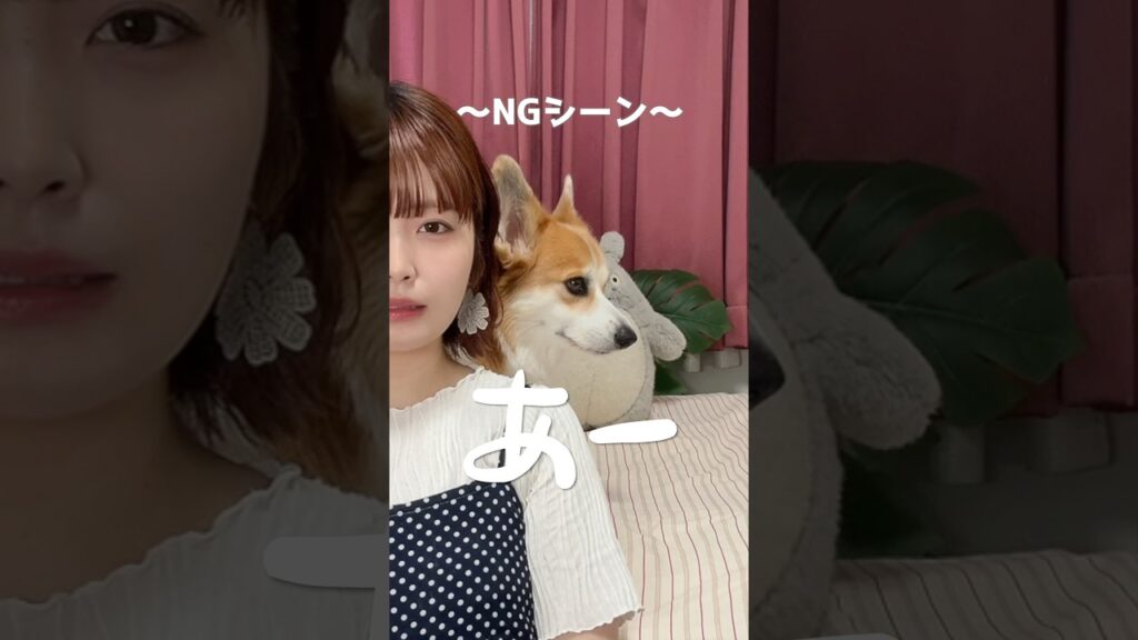 ビビリちゃんです🐶 #コーギーのいる暮らし #歌ってみた #ngシーン
