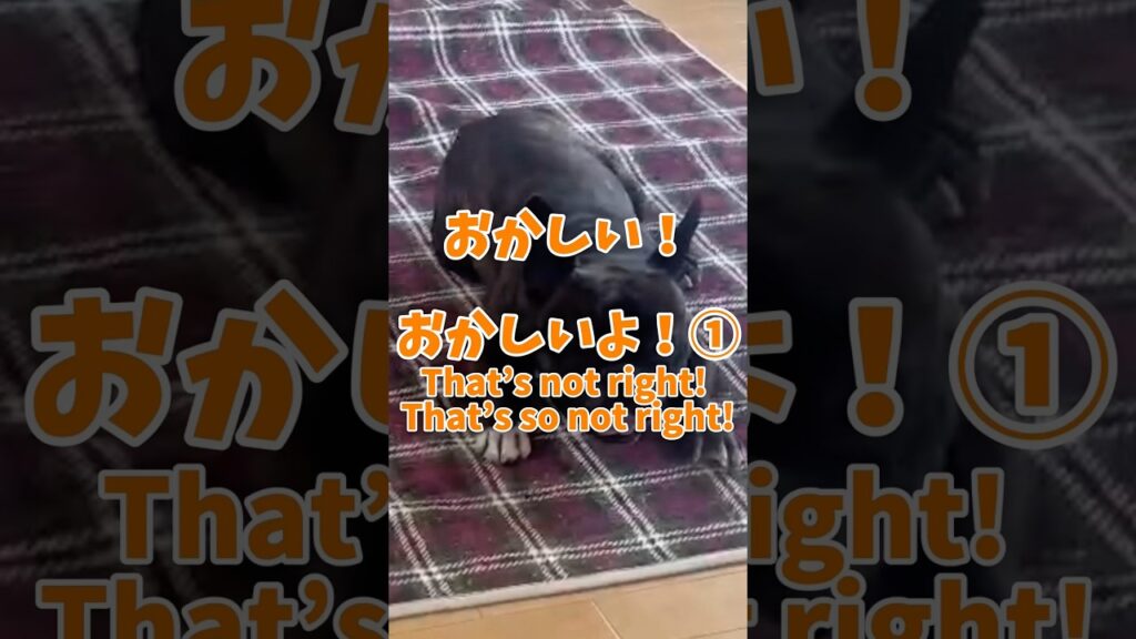 おかしい！おかしいよ！①