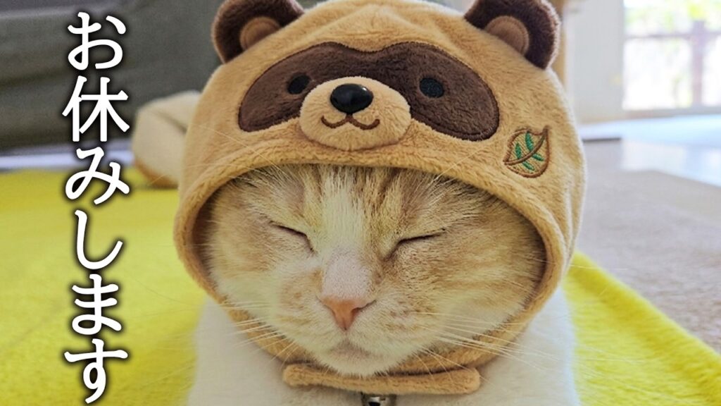 突然ですがお休みすることになりました… 突然ですがお休みすることになりました...