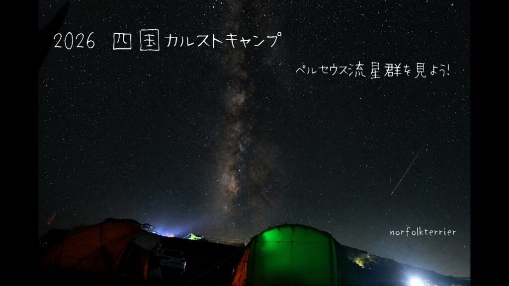 【ノーフォークテリア】2026　カルストキャンプ