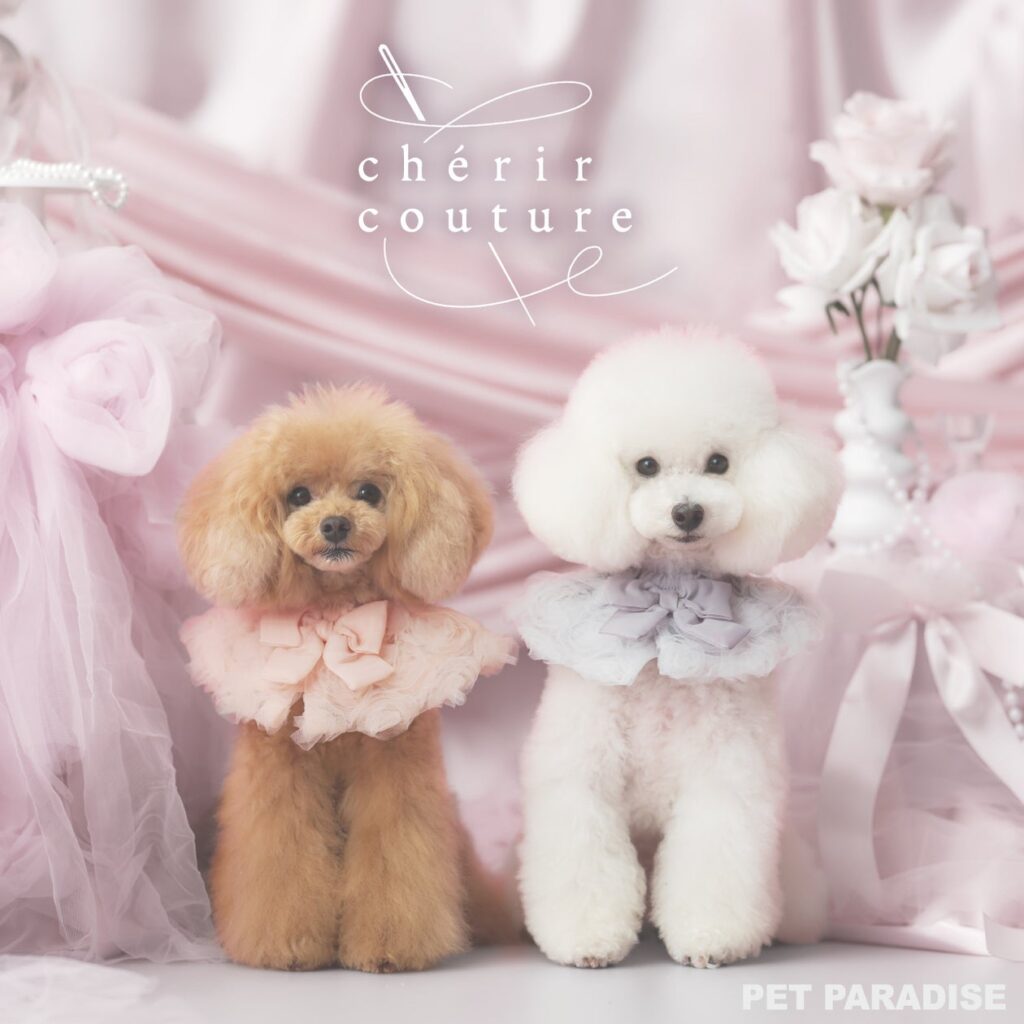「ペットパラダイス」のプレステージライン『chérircouture(シェリールクチュール)』 “遊び心あるリボンやフリル”をテーマに、2026オータムコレクションを発売 | 株式会社クリエイティブヨーコのプレスリリース 「ペットパラダイス」のプレステージライン『chérircouture(シェリールクチュール)』 “遊び心あるリボンやフリル”をテーマに、2026オータムコレクションを発売 | 株式会社クリエイティブヨーコのプレスリリース