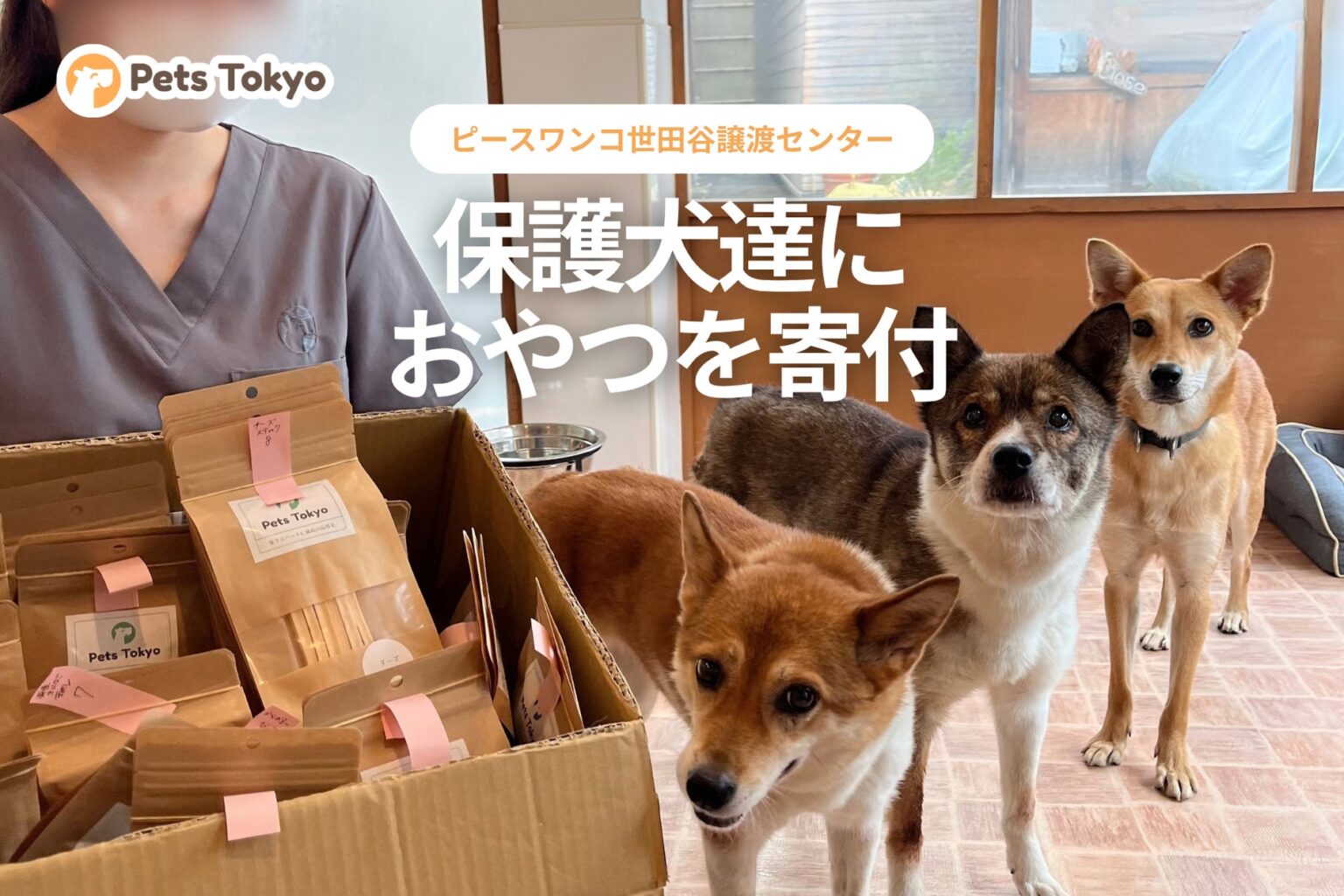Pets Tokyo、保護犬たちへおやつを寄付。ピースワンコ・ジャパン 世田谷譲渡センターを訪問 | Lehman Holdings株式会社のプレスリリース Pets Tokyo、保護犬たちへおやつを寄付。ピースワンコ・ジャパン 世田谷譲渡センターを訪問 | Lehman Holdings株式会社のプレスリリース