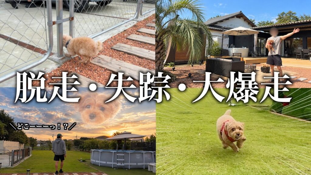 雨続きでストレスMAXの愛犬を貸切ヴィラに連れて行くとこうなります 雨続きでストレスMAXの愛犬を貸切ヴィラに連れて行くとこうなります