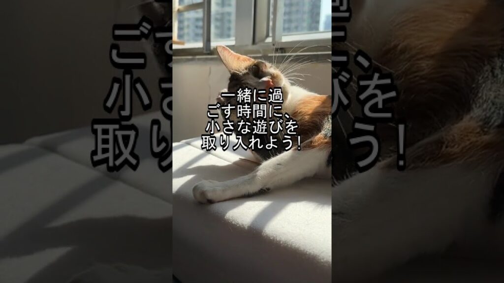バーマンの性格、実は意外な一面があった #Shorts